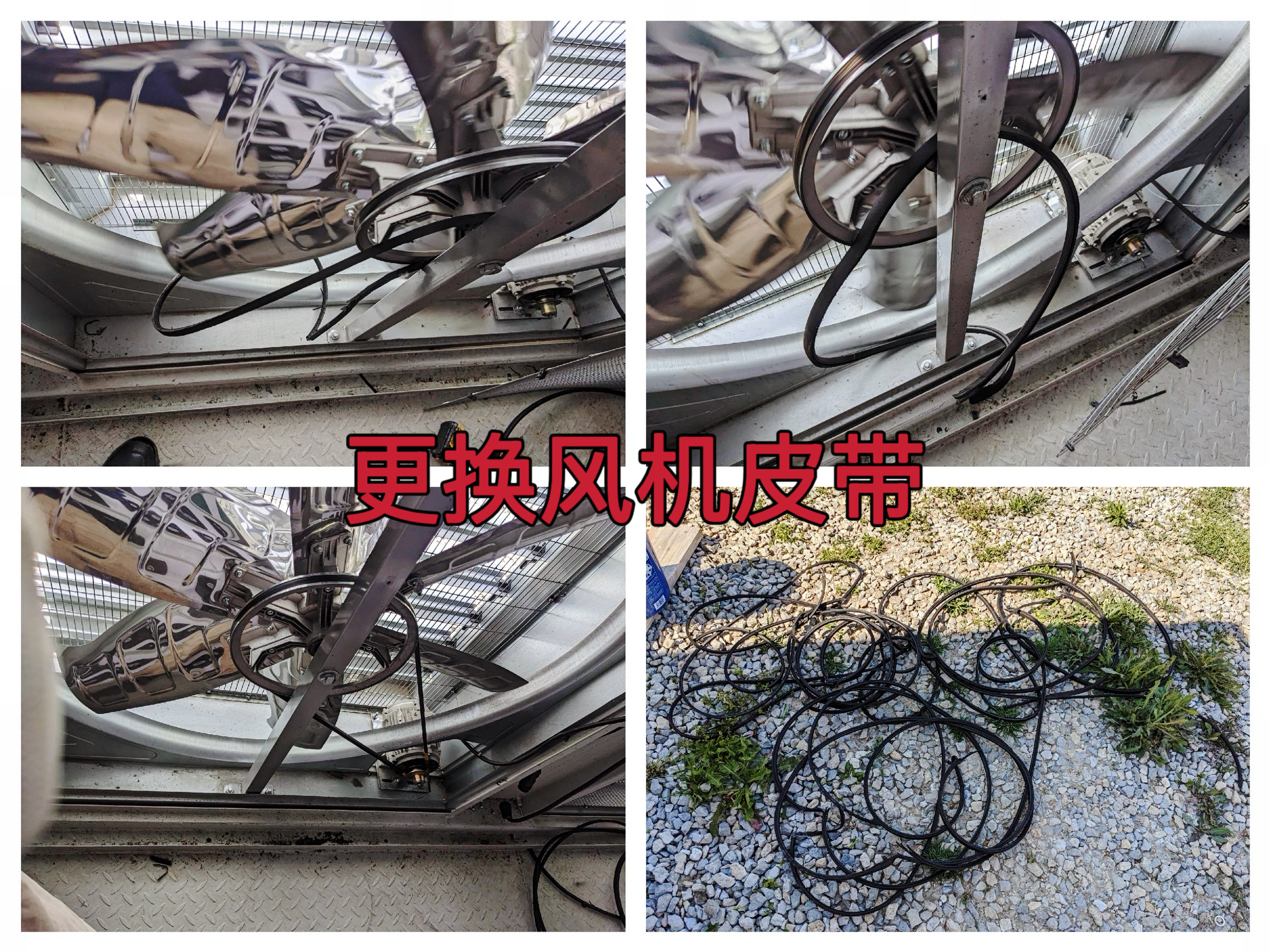 曼西2025年5月矿箱风机维护高效更换17条风机皮带作业纪实（MYW2025050015）