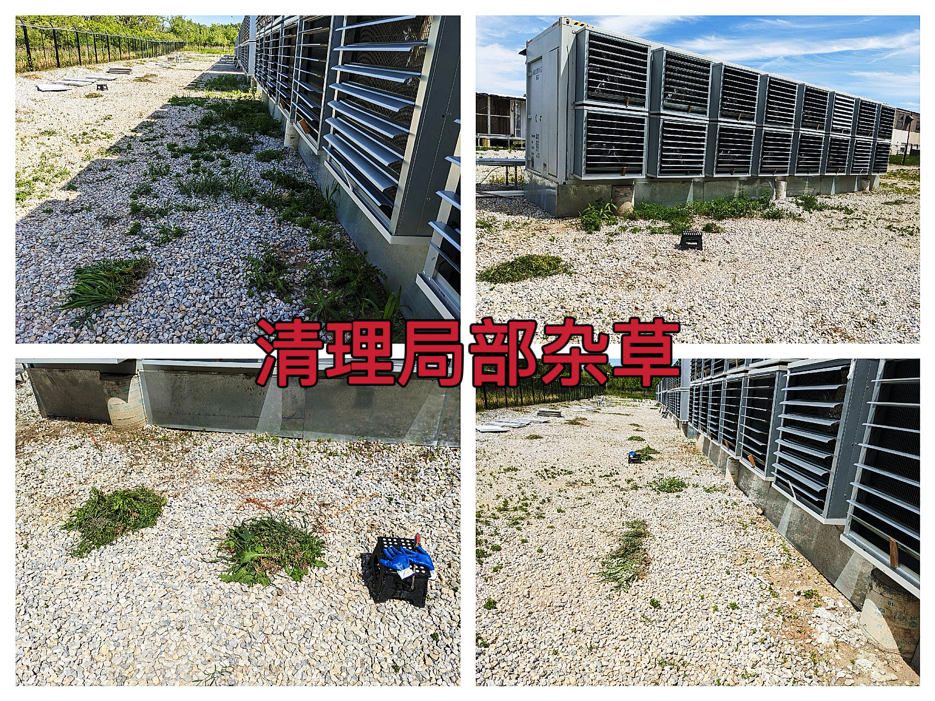 曼西2025年5月继续完成清理局部杂草作业纪实（MYW2025050017）