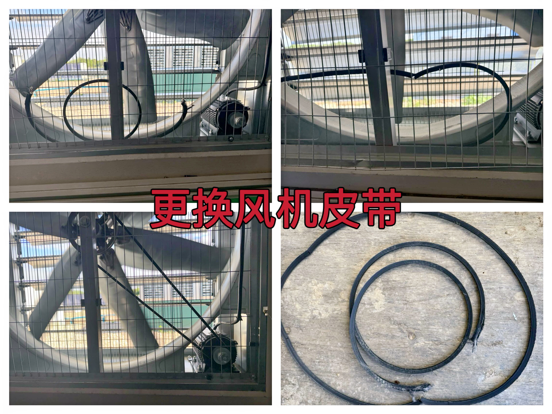 约克汤2025年5月矿箱风机皮带更换作业纪实（YYW2025050010）
