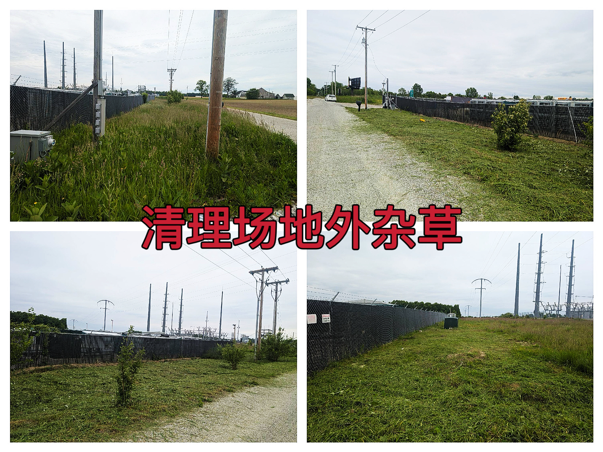 马里昂2025年5月场地外环境整治：全面清理杂草，优化周边生态作业纪实（AYW2025050011）