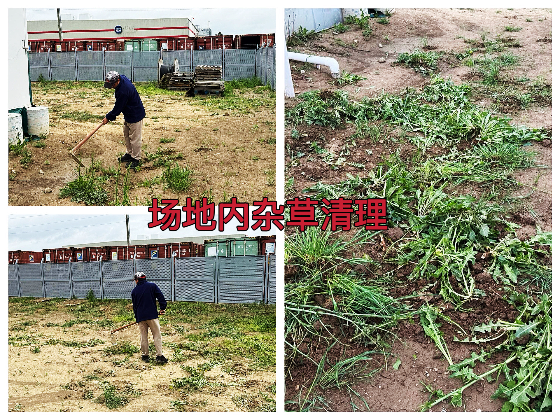 约克汤2025年5月环境整治行动场地杂草清理作业纪实（YYW2025040018）