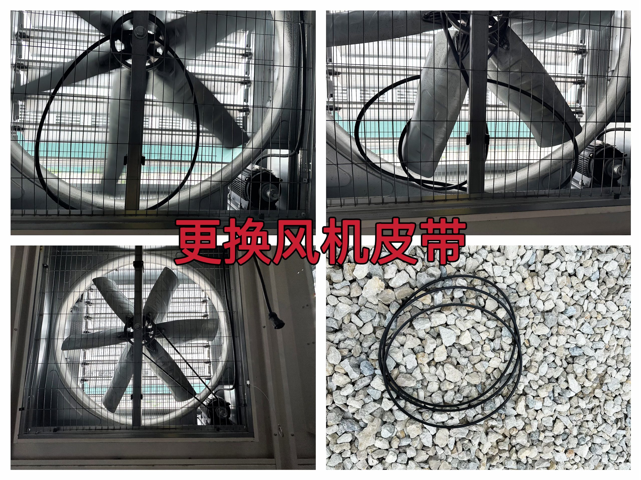 约克汤2025年5月更换场地风机皮带维护记录——专业保障设备高效运行作业纪实（YYW2025050012）