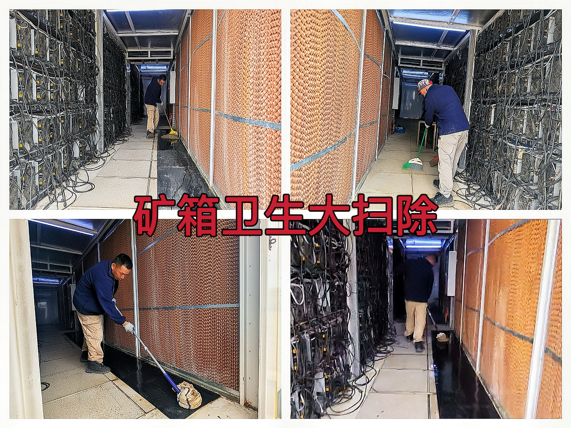 约克汤2025年5月陆续对全场矿箱大扫除作业纪实（YYW2025050011）