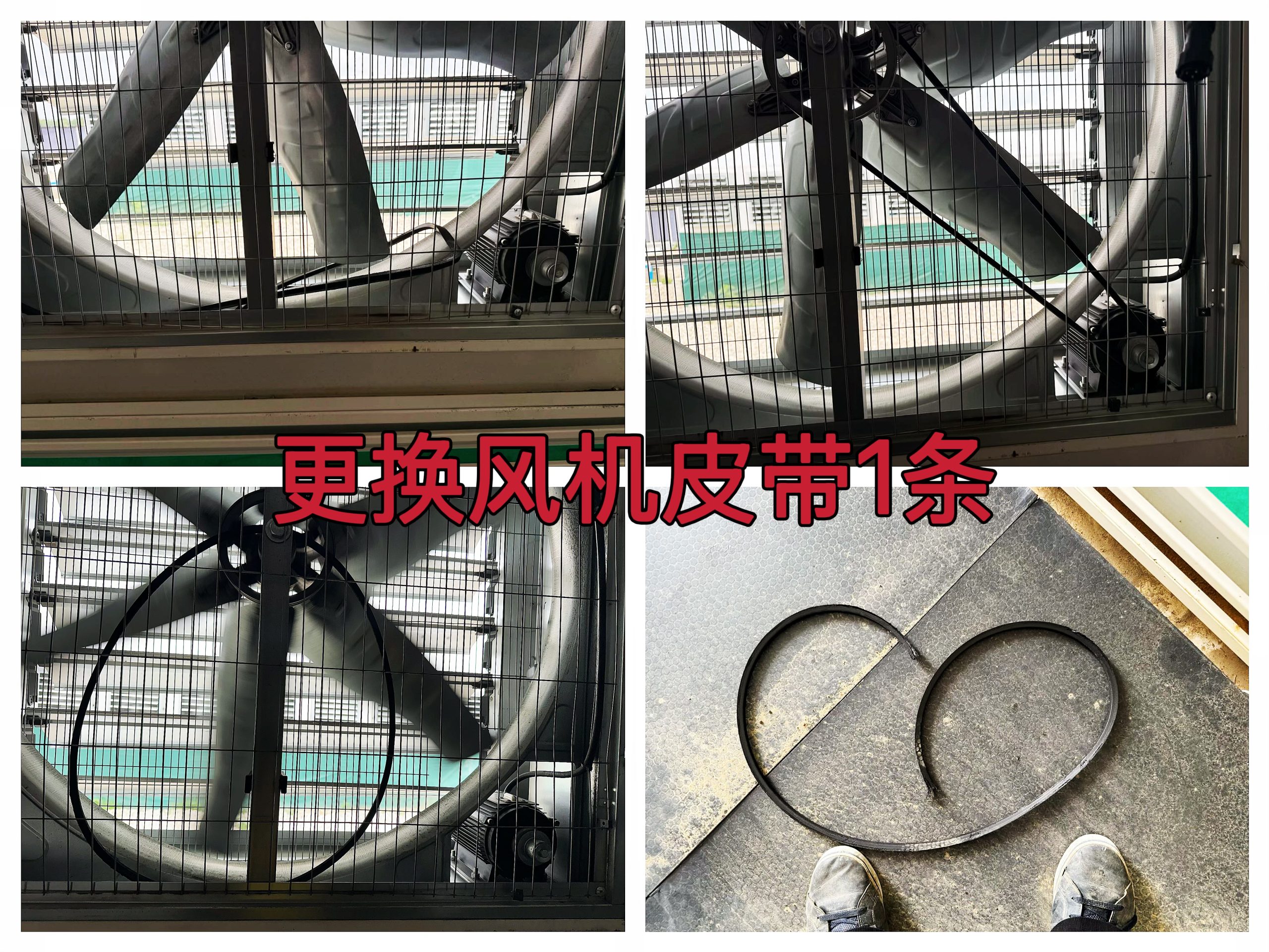 约克汤2025年5月更换B2矿箱风机皮带1条作业纪实（YYW2025050014）