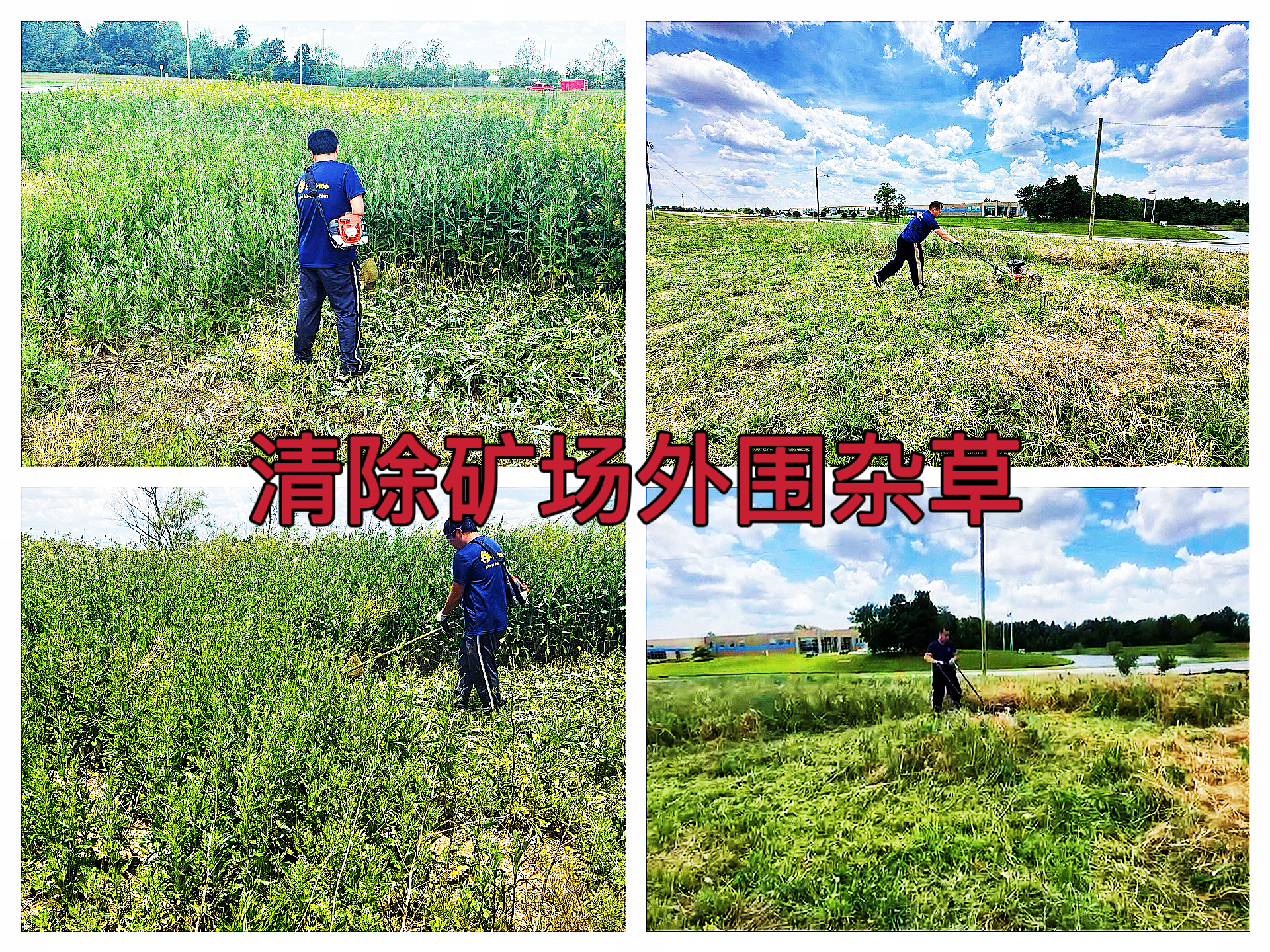 约克汤2025年5月对矿场外围杂草进行清除作业纪实（YYW2025050015）