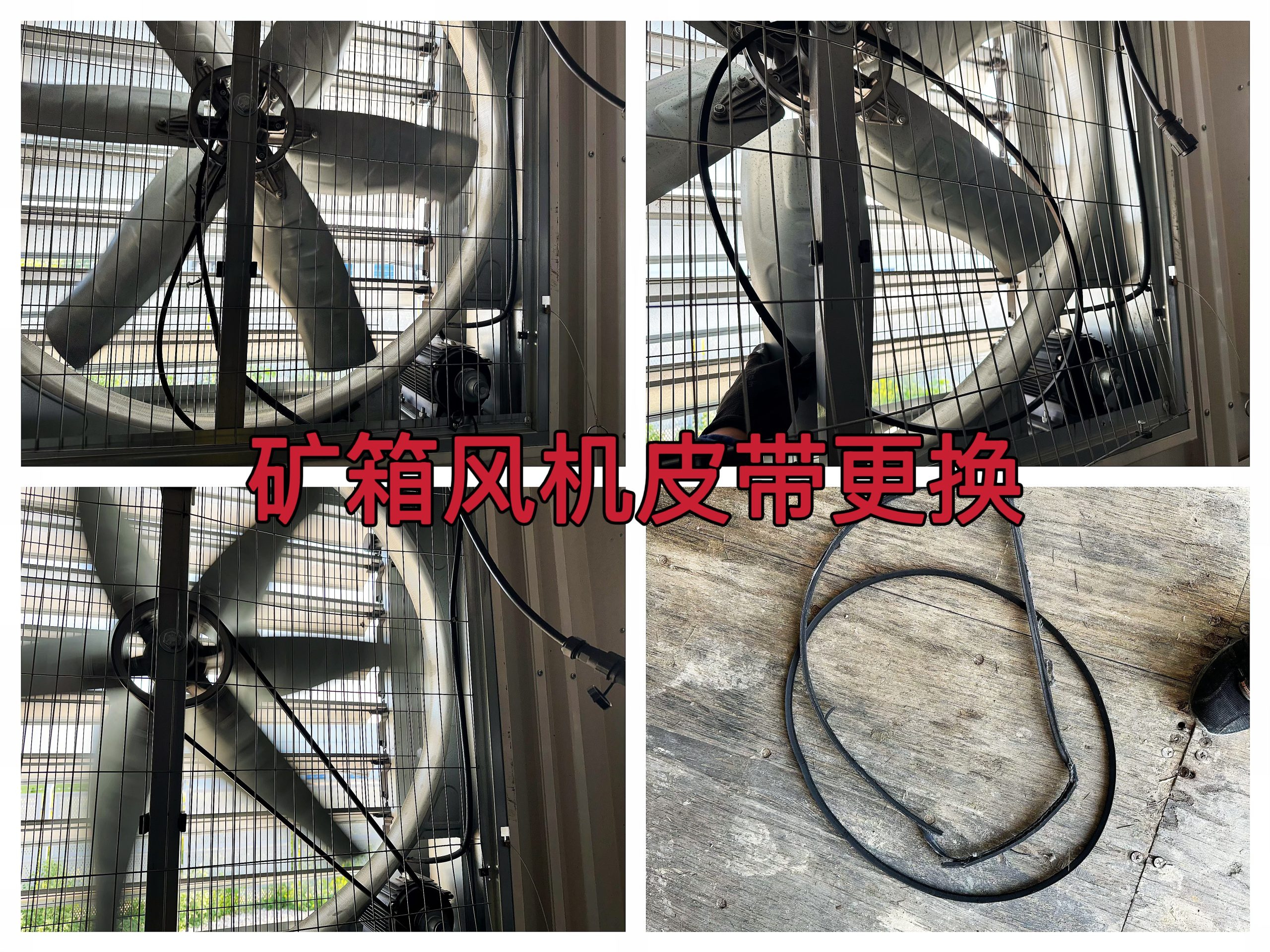 约克汤2025年6月D1、D2矿箱风机皮带更换作业纪实（YYW2025060001）