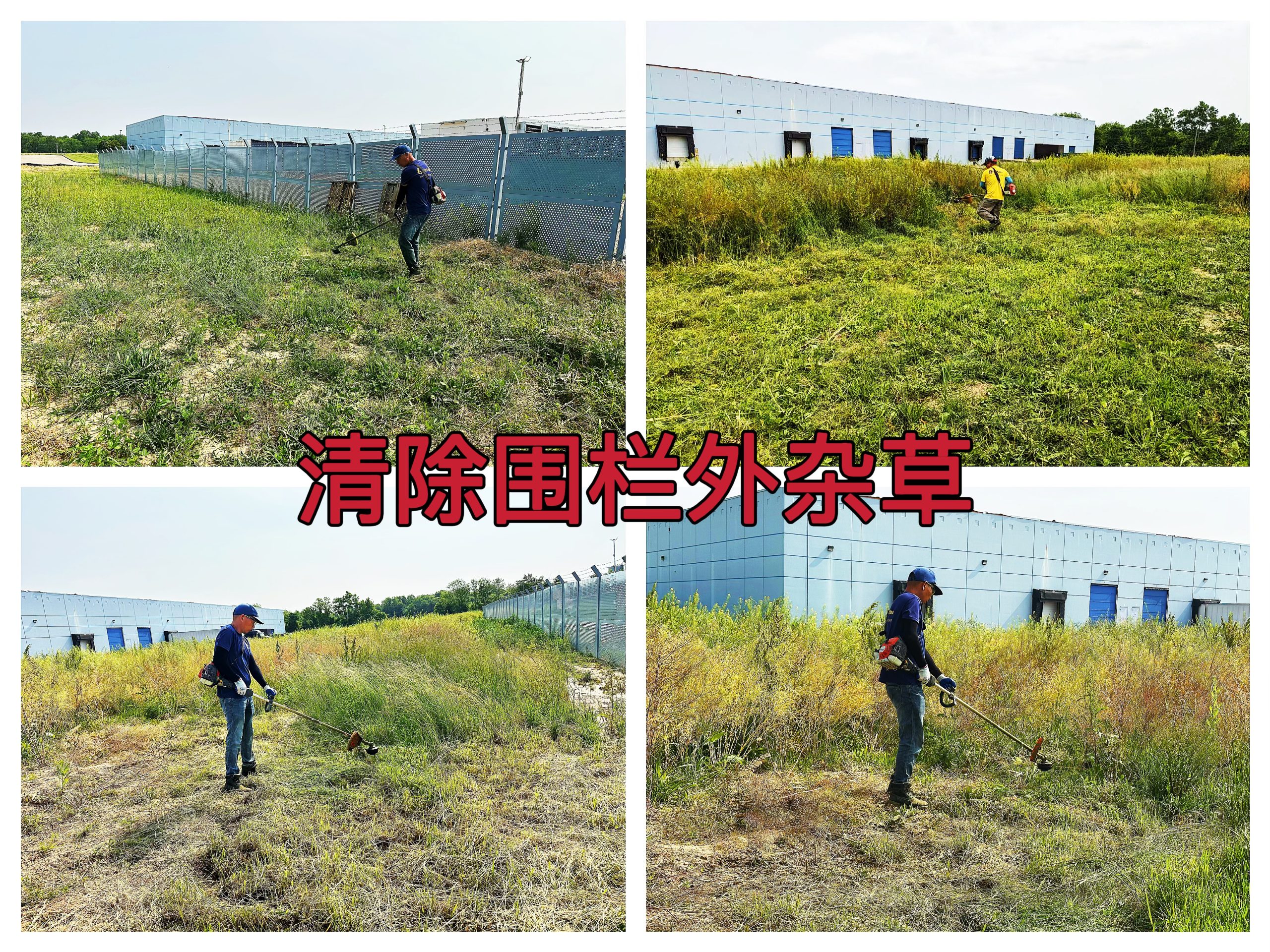 约克汤2025年6月环境整洁再升级，场地围栏外杂草清理作业纪实（YYW2025060002）