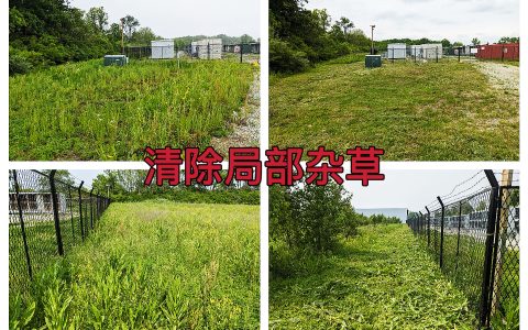 曼西2025年6月保障环境整洁，场地大门及围栏外局部杂草清除完成作业纪实（MYW2025060004）