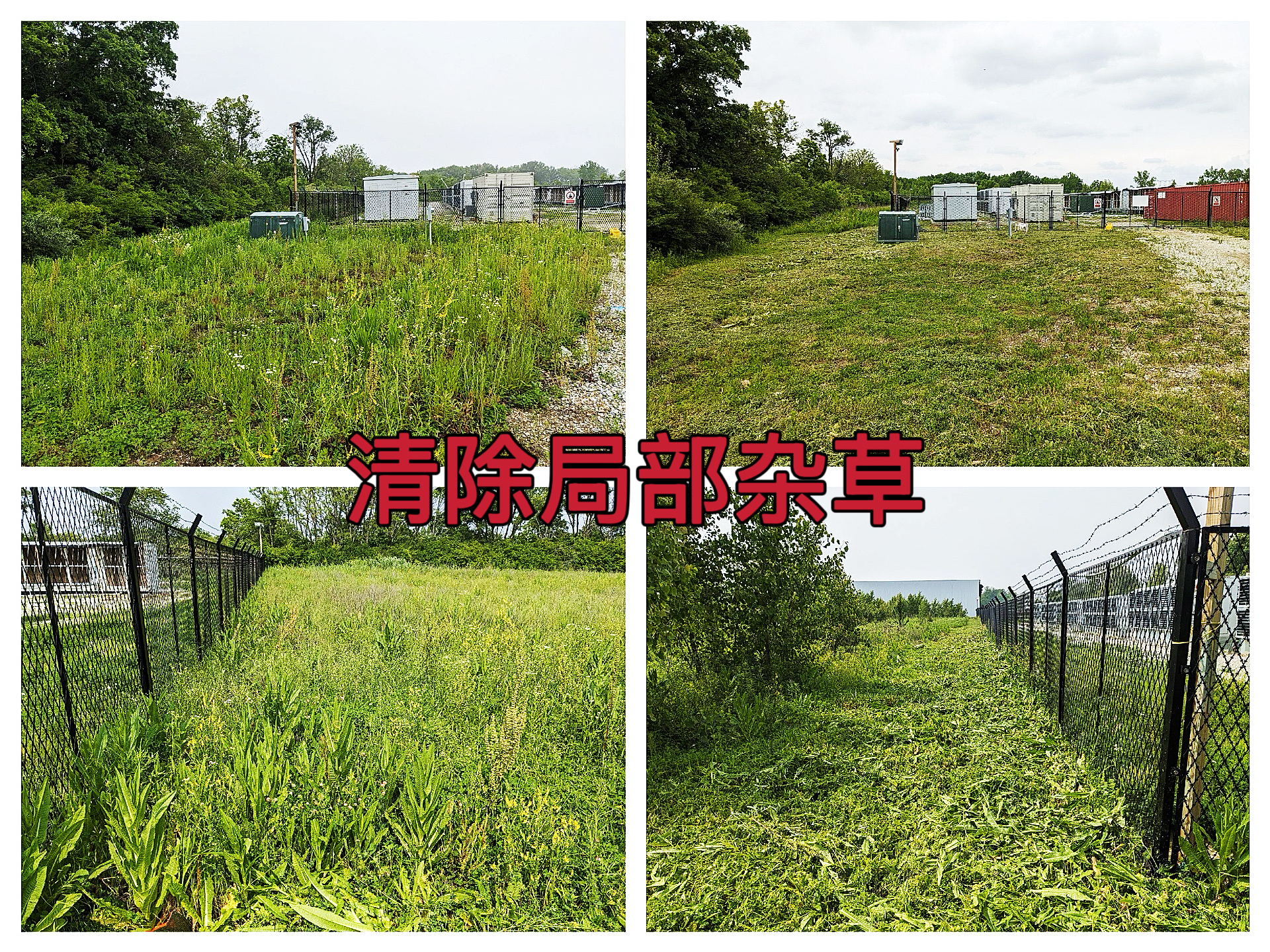 曼西2025年6月保障环境整洁，场地大门及围栏外局部杂草清除完成作业纪实（MYW2025060004）