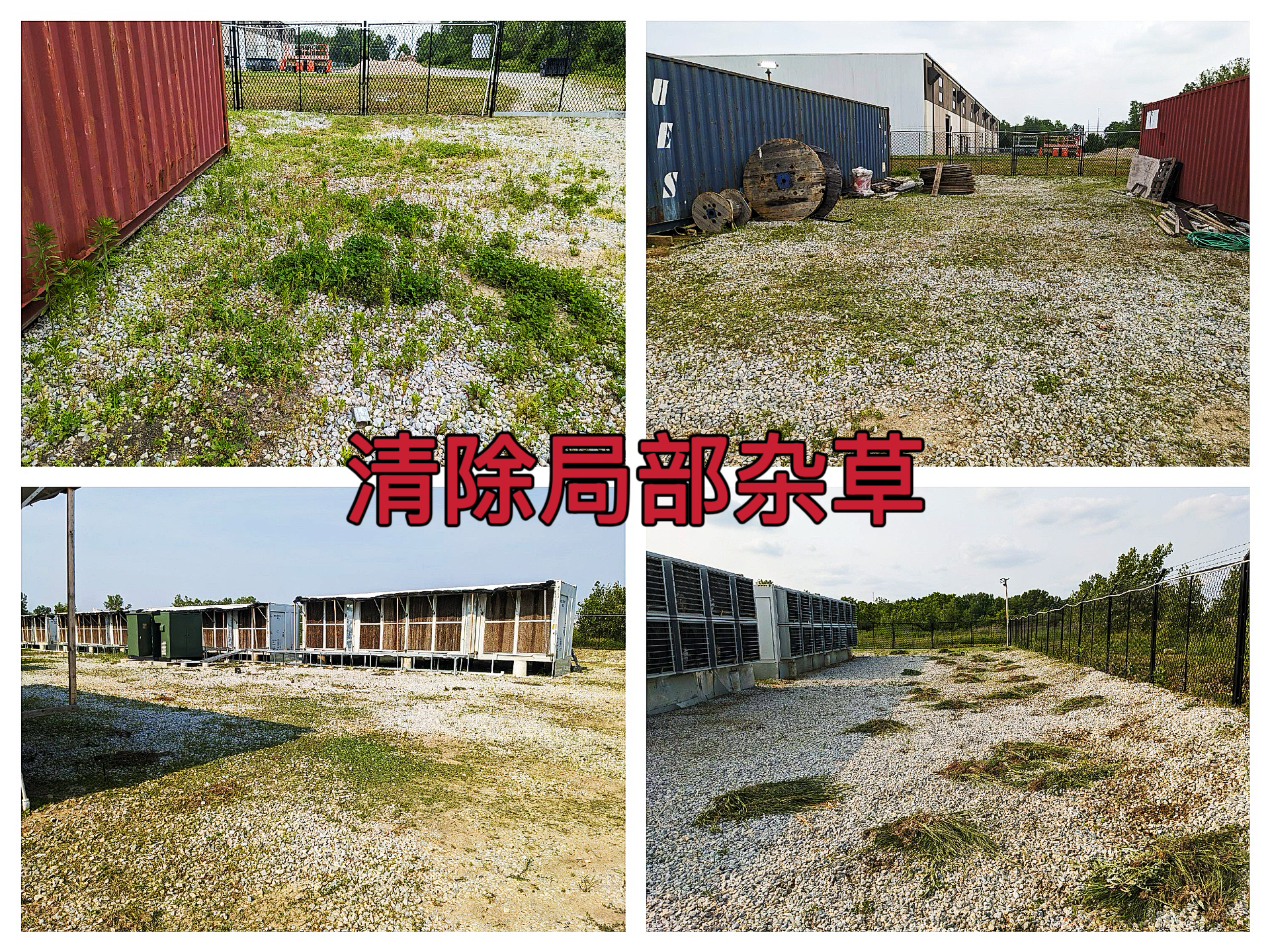 曼西2025年6月开展为期8天场地内局部杂草清除工作作业纪实（MYW2025060008）