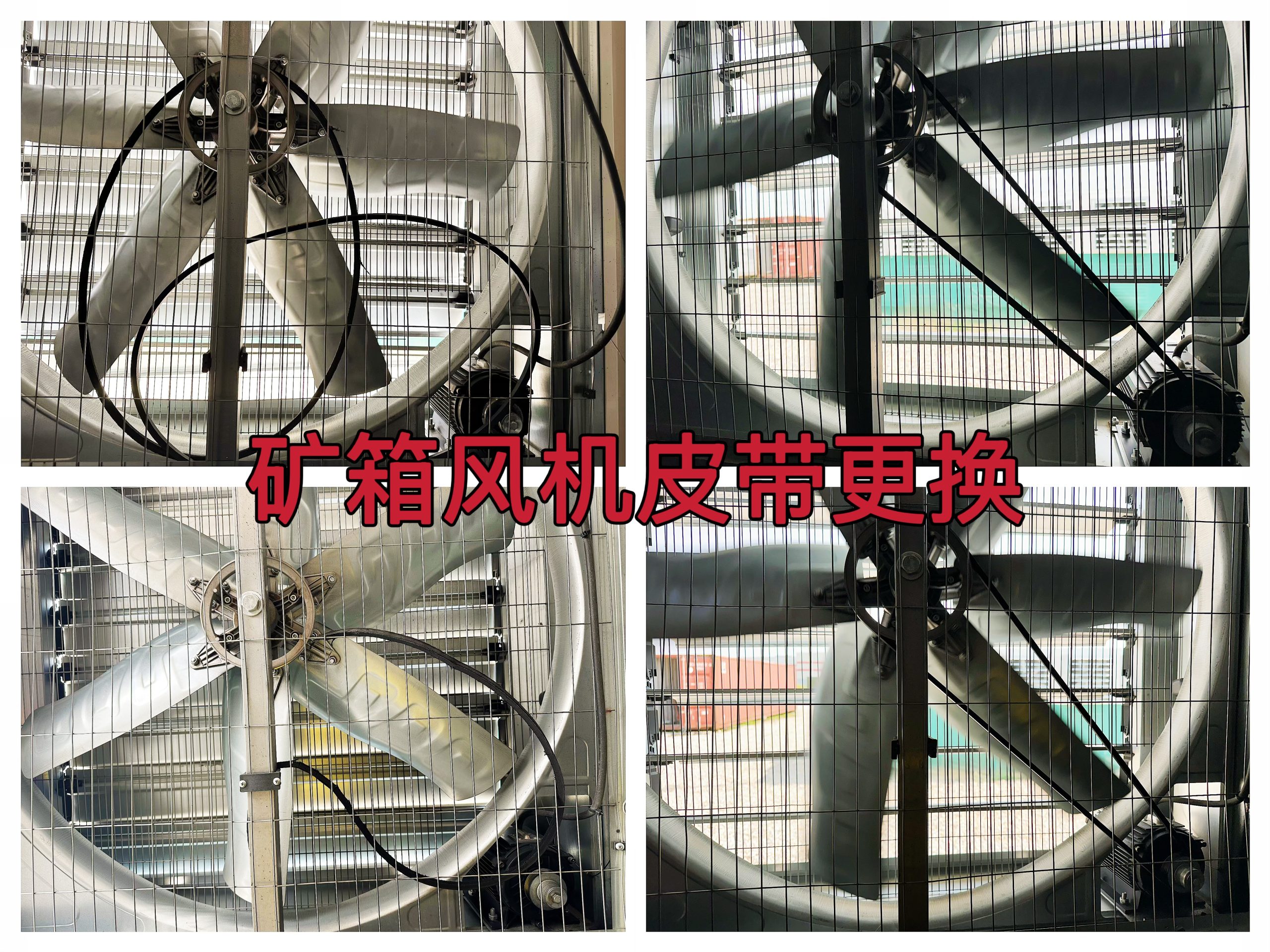 约克汤2025年6月矿箱例行巡检：四次风机皮带更换作业纪实（YYW2025060009）