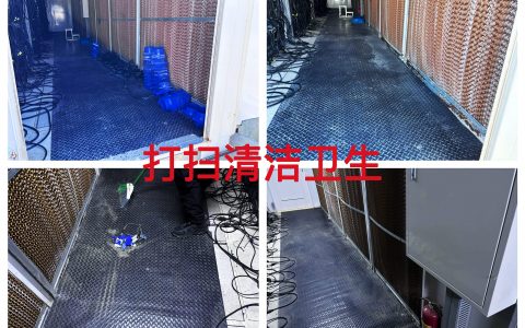 约克汤2026年3月矿箱卫生清理及场地整治作业纪实（YYW2026030001）
