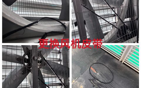约克汤2026年3月更换风机皮带作业纪实（YYW2026030002）