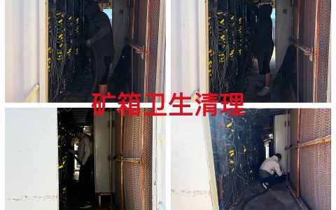 德州20MW2026年3月矿箱及场地卫生清理作业纪实（TYW2026030001）