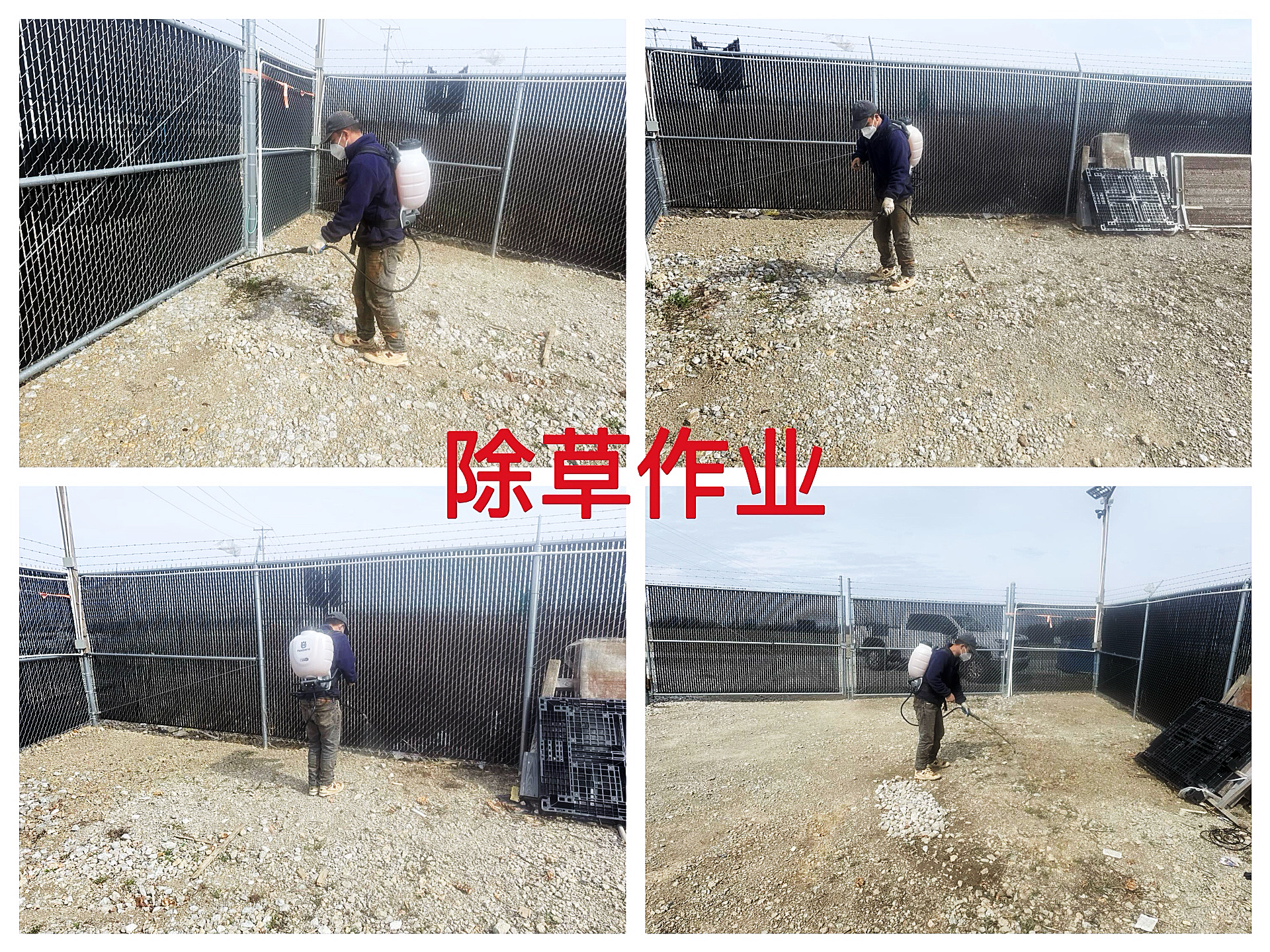 马里昂2026年3月清洗蓄水池及场地除草专项整治作业纪实(AYW2026030005)