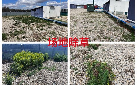 约克汤2026年4月场地除草及场外卫生清理作业纪实（YYW2026040001）