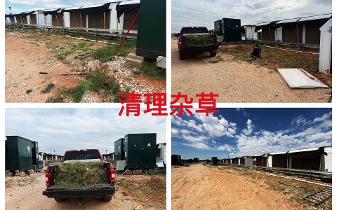 德州20MW2026年5月杂草清理与环境整治作业纪实（TYW2026050001）