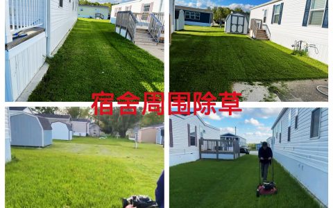 马里昂2026年5月宿舍周围定期除草与环境整治作业纪实（AYW2026050001）
